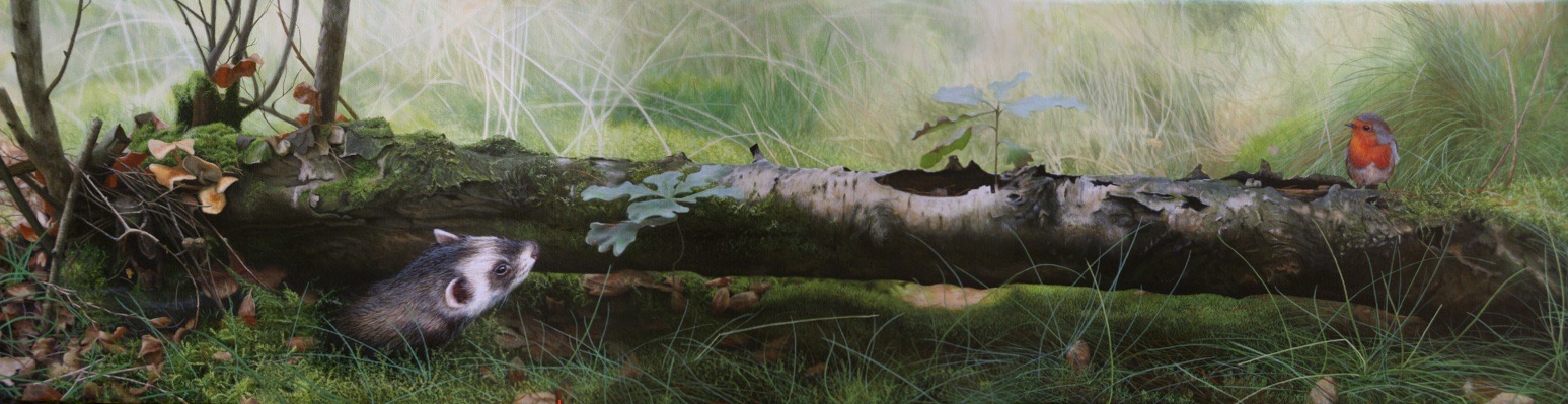 "polecat, robin" 40 x 120cm acrylic on canvas