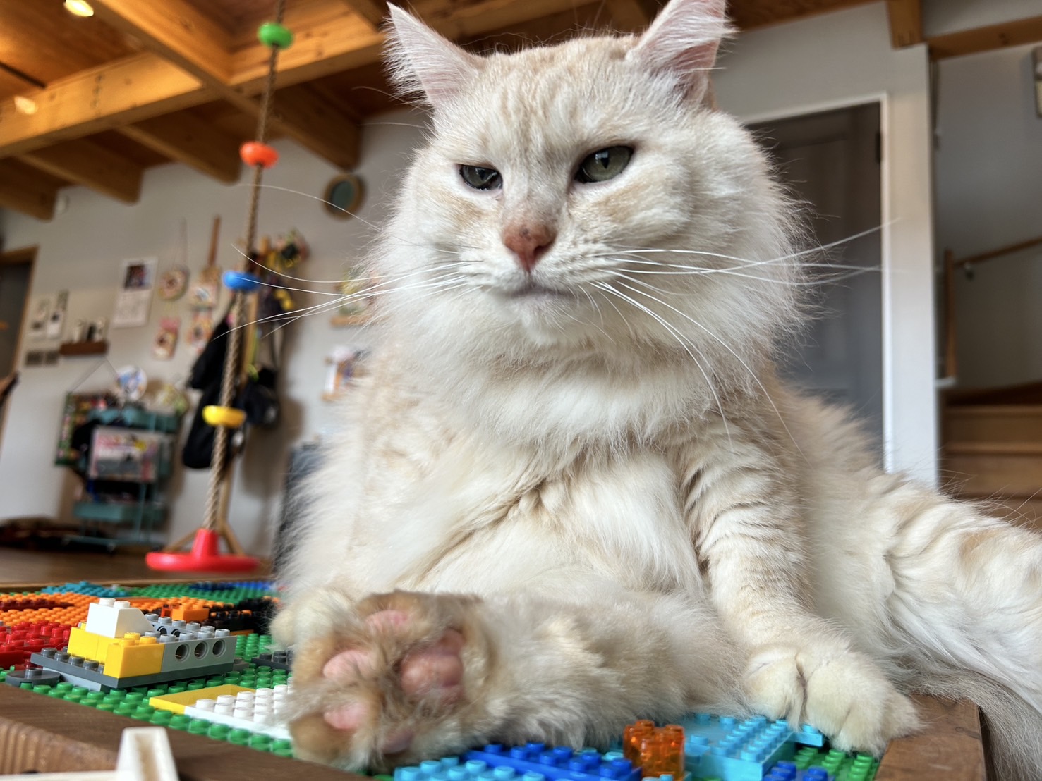 六六堂パン制作所 只今2025年11月前半OPENを目指し開業準備