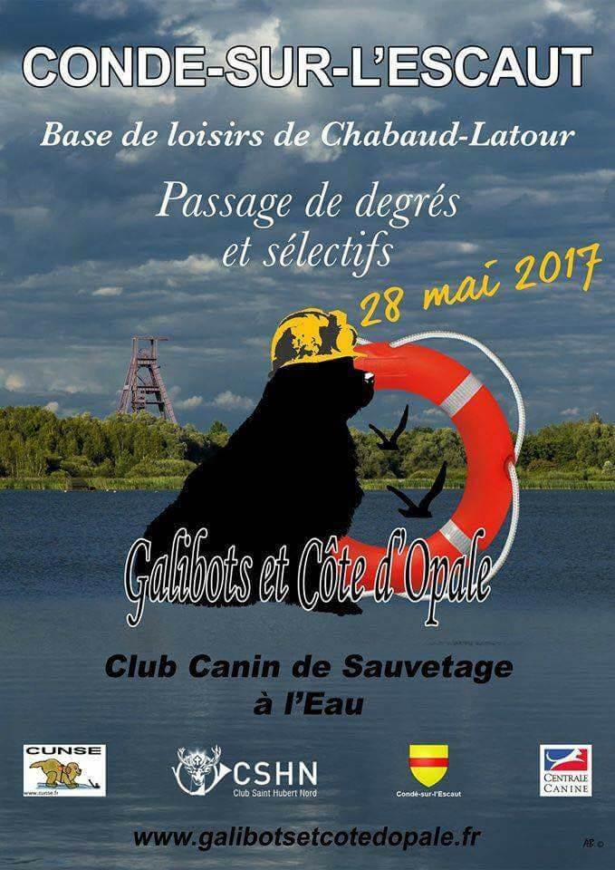centrale canine pas de calais