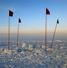 Lilo Tadday Antarktis Polar Stern Eis Stock Meereis Rot 