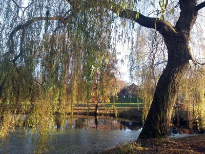 Ravenstein NL im Herbst