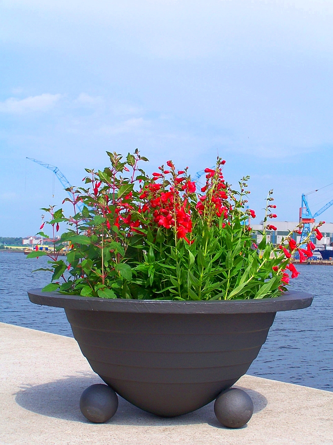 Planter
