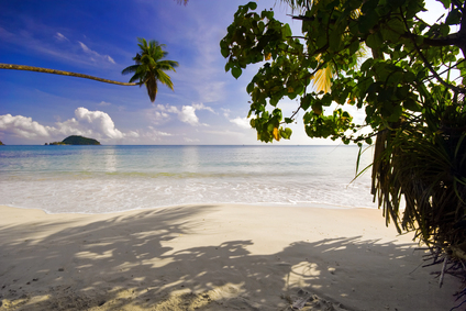 Türkisblaues Meerwasser und weißer Sandstrand auf Koh Mak mit schattenspendenden Kokospalmen.