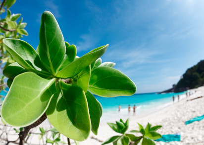 Similan Inseln