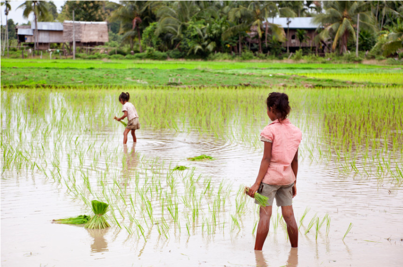 Laos, Reiseziel in Asien