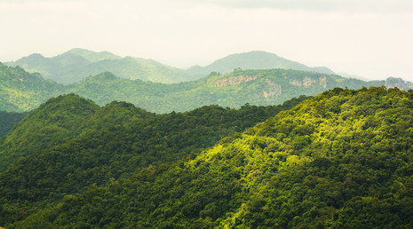 Der Khao Yai Nationalpark