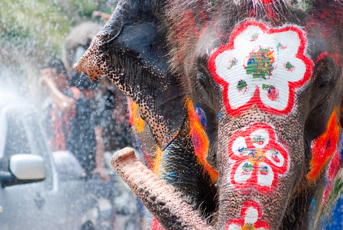 Elefanten bei Songkran