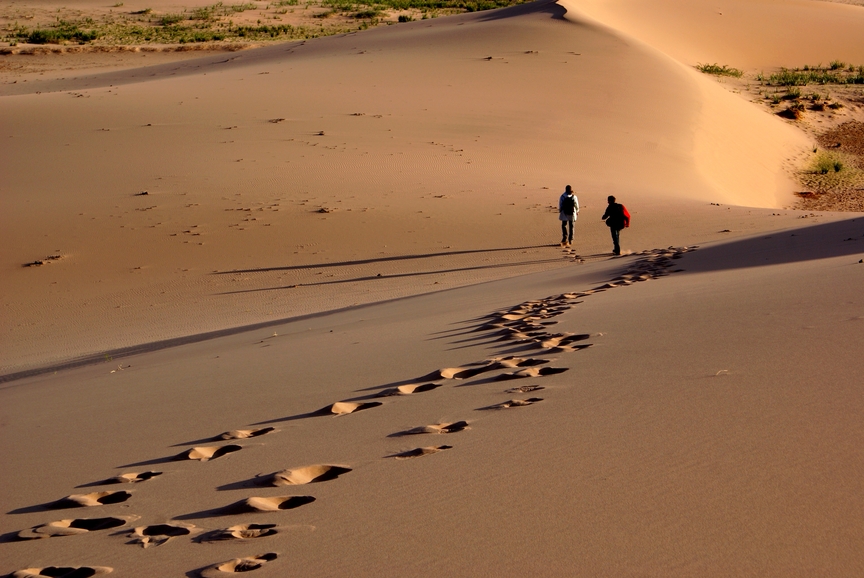 Gobi Wüste in der Mongolei