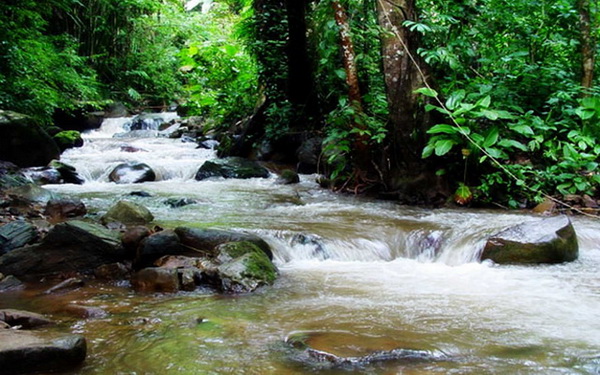 Lam Nam Nan National Park Rafting - Thailandspezialisten