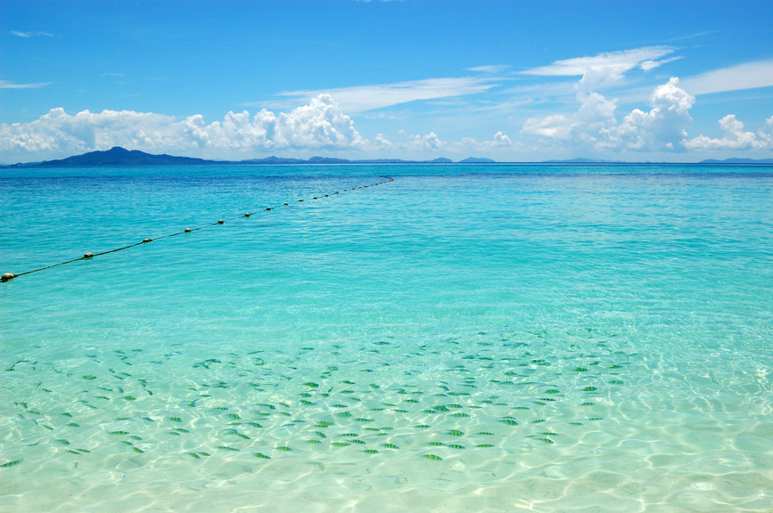  Phi Phi Village Beach Resort