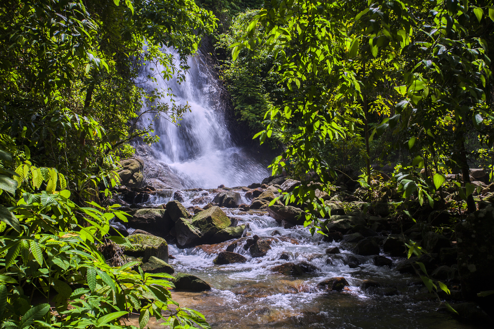 Ton Chong Fa Waterfall