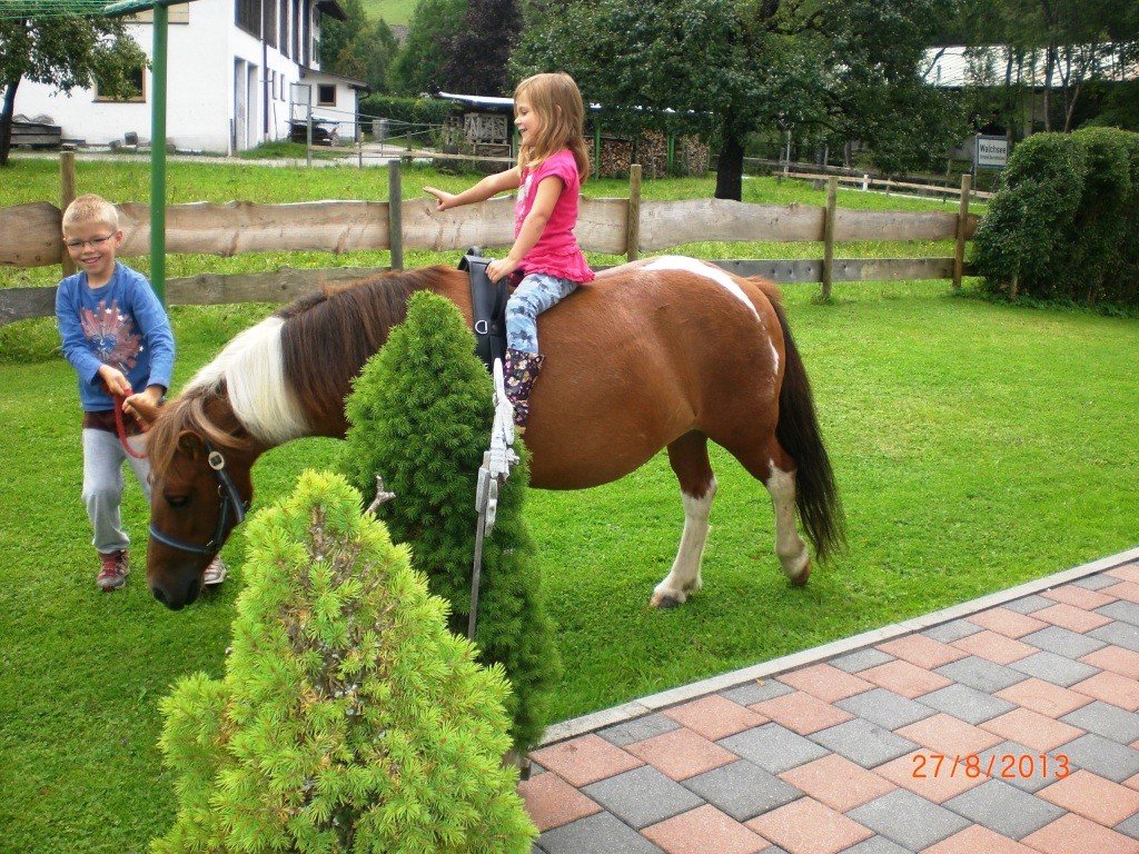 Ponybesuch vom Nachbar Bauernhof