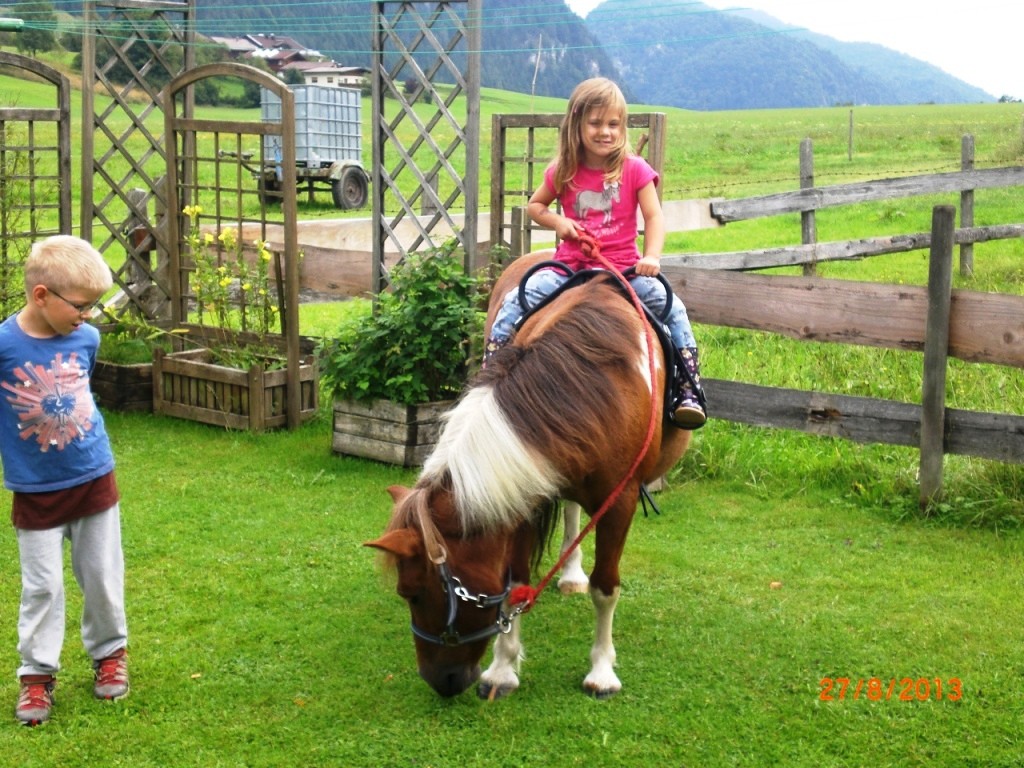 Ponybesuch vom Nachbar Bauernhof