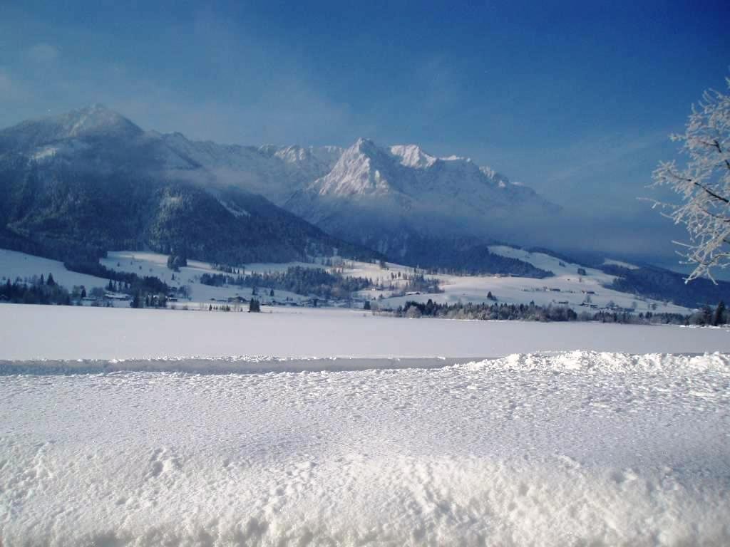 winterlicher See