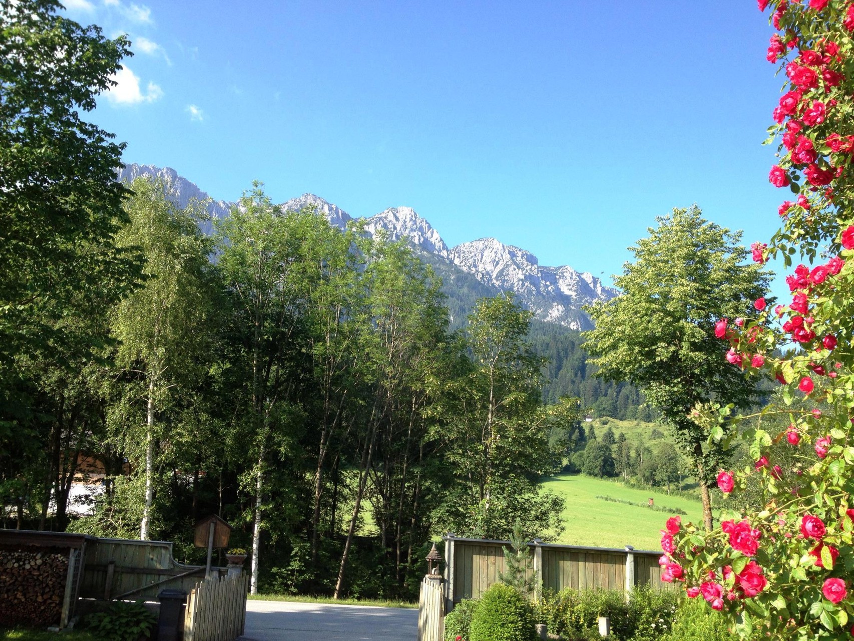 Ausblick vom Haus