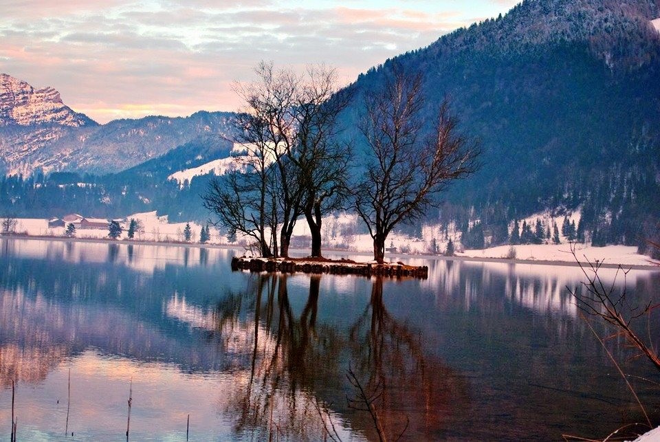 Insel im Walchsee