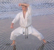 Sochin muso-kamae