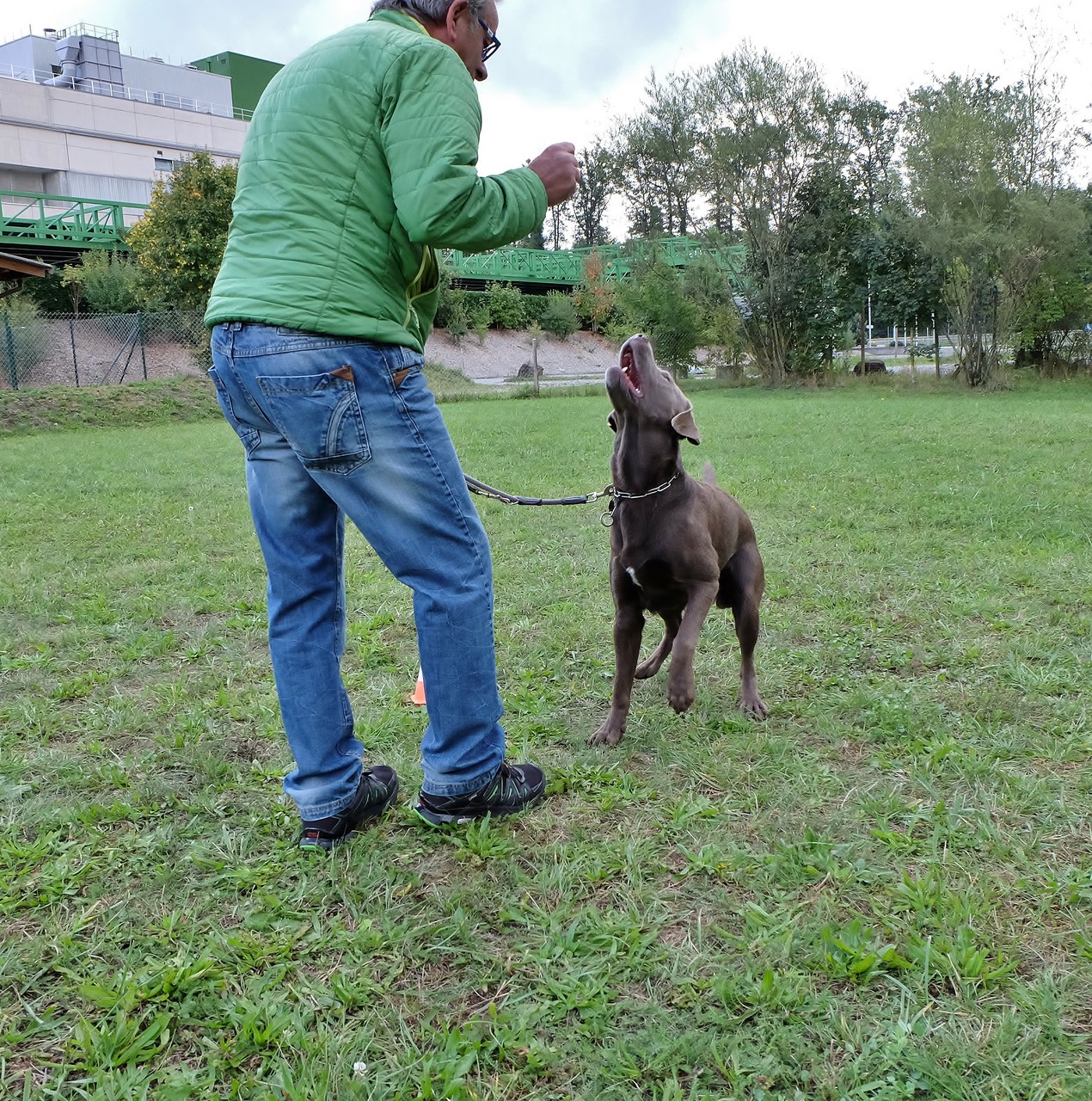 Django (silber)