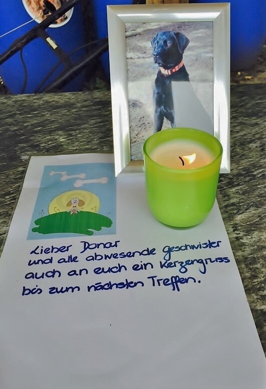 Wir hoffen, dass die Hunde, welche nicht am 1. Treffen anwesend waren, beim 2. Treffen dabei sein können.