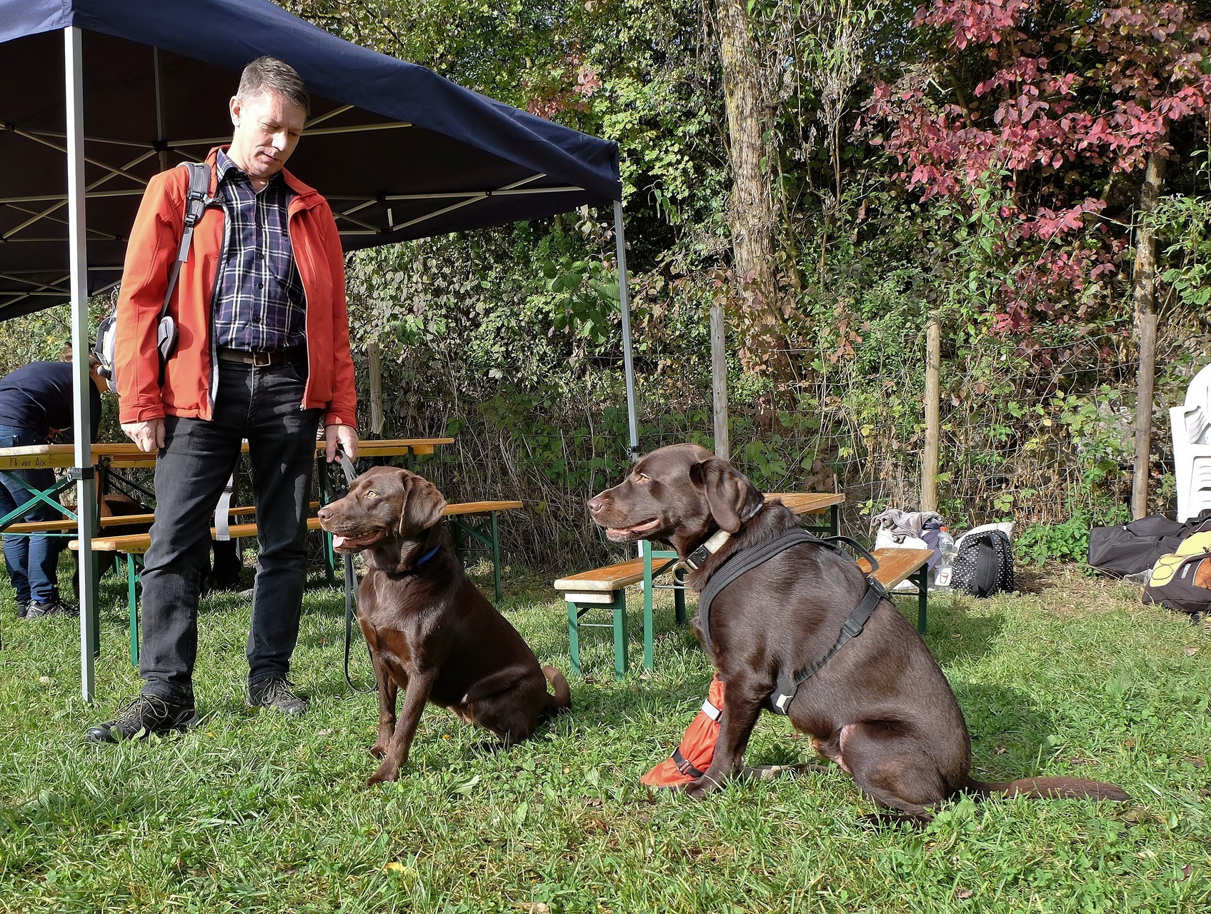 Andra, chocolate (links) und Aragon, chocolate (rechts)