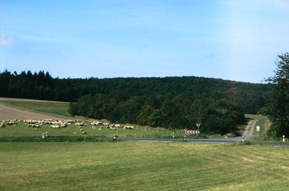 Blick von S zum Gebiet