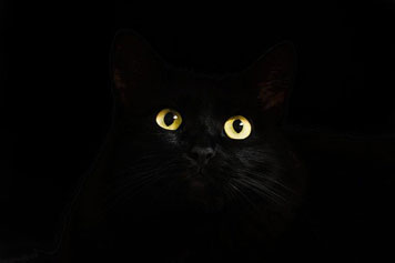 Cat Eyes von Mihail_hukuna. Bildnachweis am Ende der Seite.