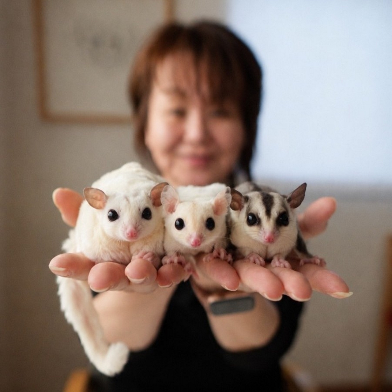 ココちゃん・アンジュちゃん お迎え【静岡県】