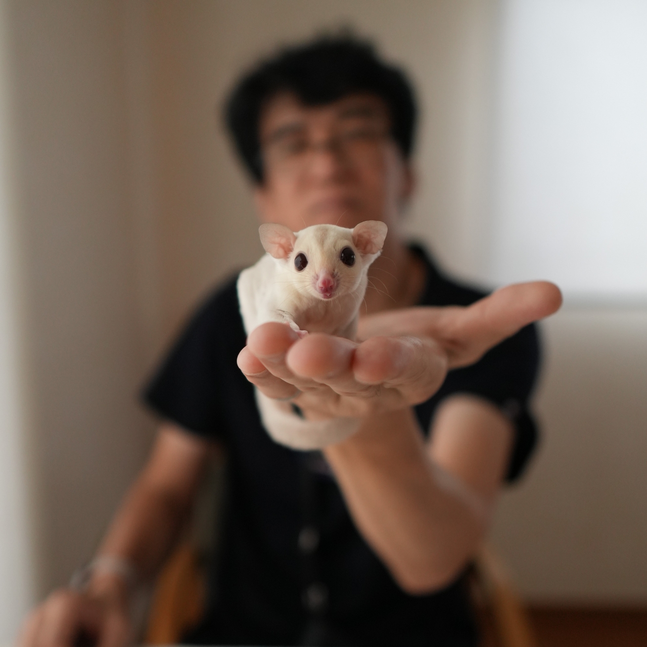 ジョイくん（千葉県）