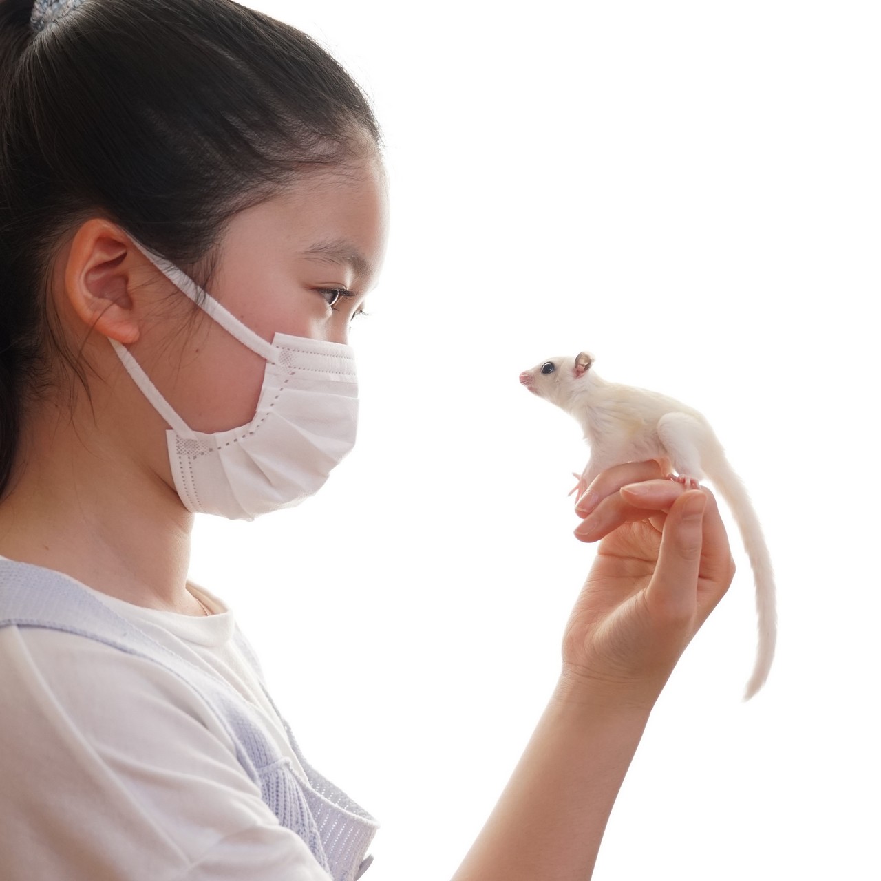 大丈夫！夢は叶うよ！
