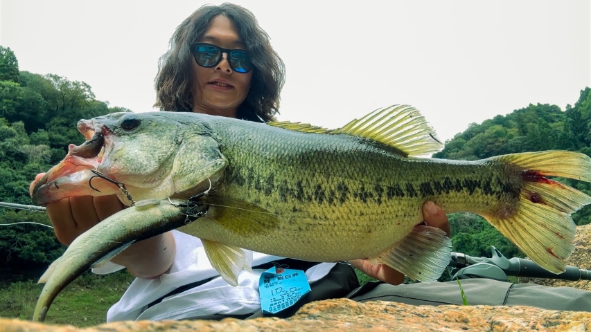 高山ダムのデカバス