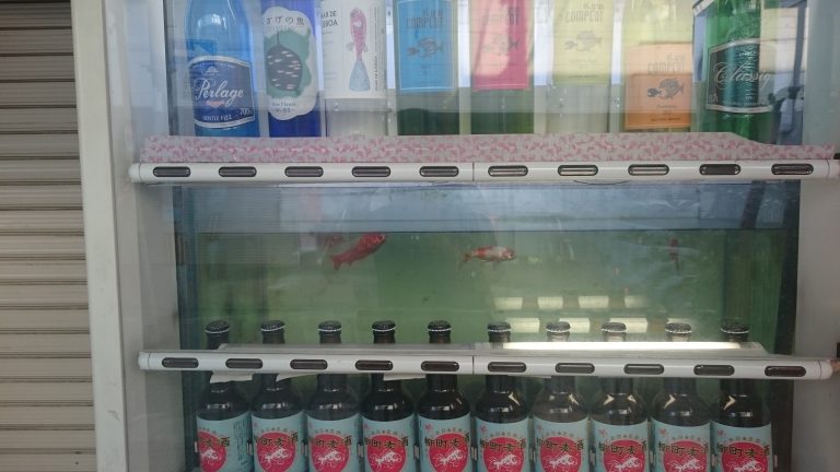 自動販売機に金魚!?