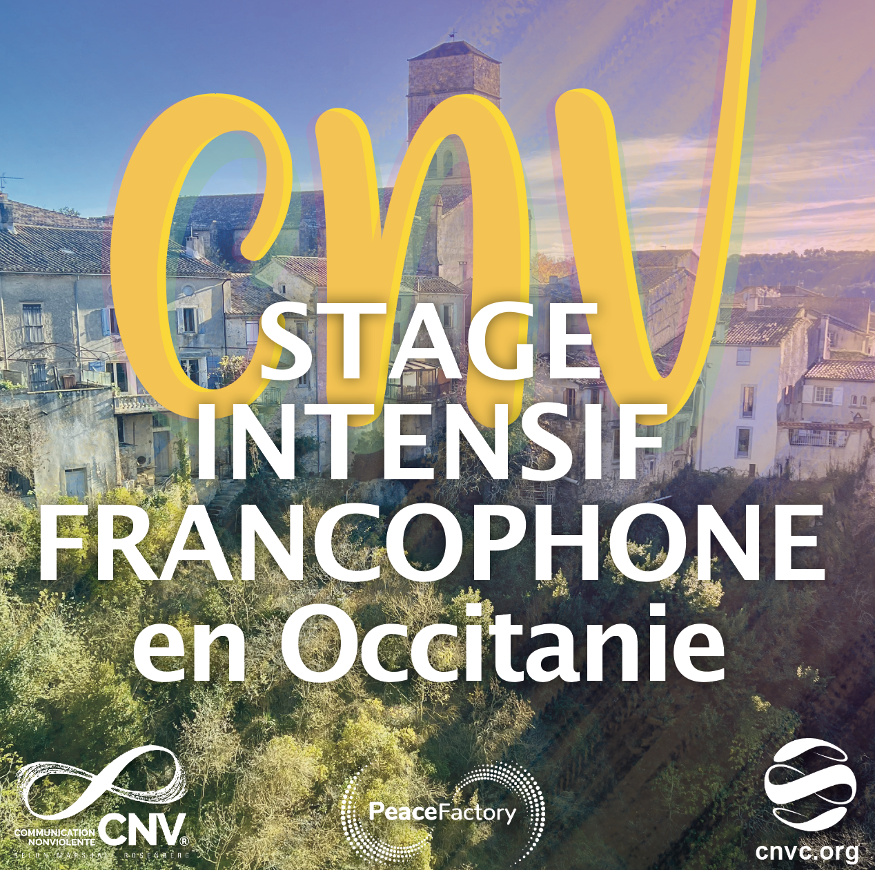 Stage Intensif Francophone en CNV