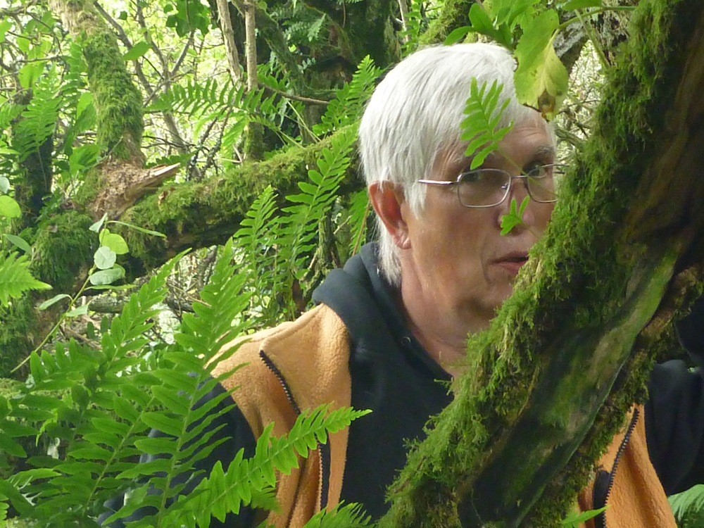 Wilda WahnWitz