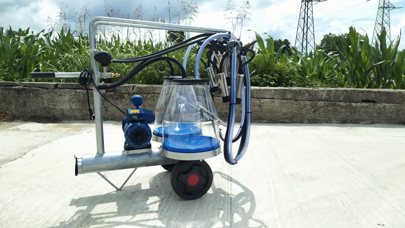 Mungitrice a carrello zincato, pompa per vuoto mod. PT1 da 200 litri a 50 kpa, motore elettrico 220V HP1. Secchio 25 litri in macrol numerato, 2 gruppi mung. 150cc 2 pulsatori 60/40, completa.