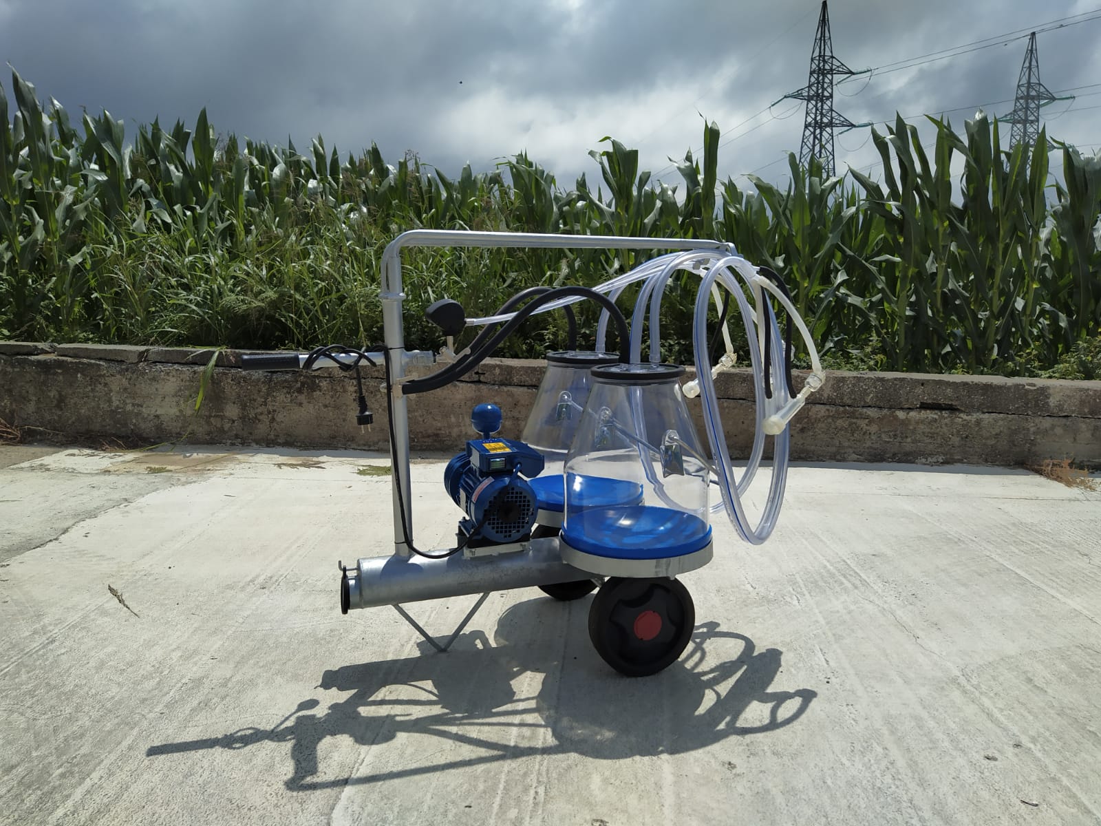 Mungitrice a carrello zincato, pompa per vuoto mod. PT1 da 200 litri a 50 kpa, motore elettrico 220V HP1. Due secchi da 25 litri in macrol numerato, 2 gruppi mung. collettori automatici 1 pulsatore 50/50, completa.