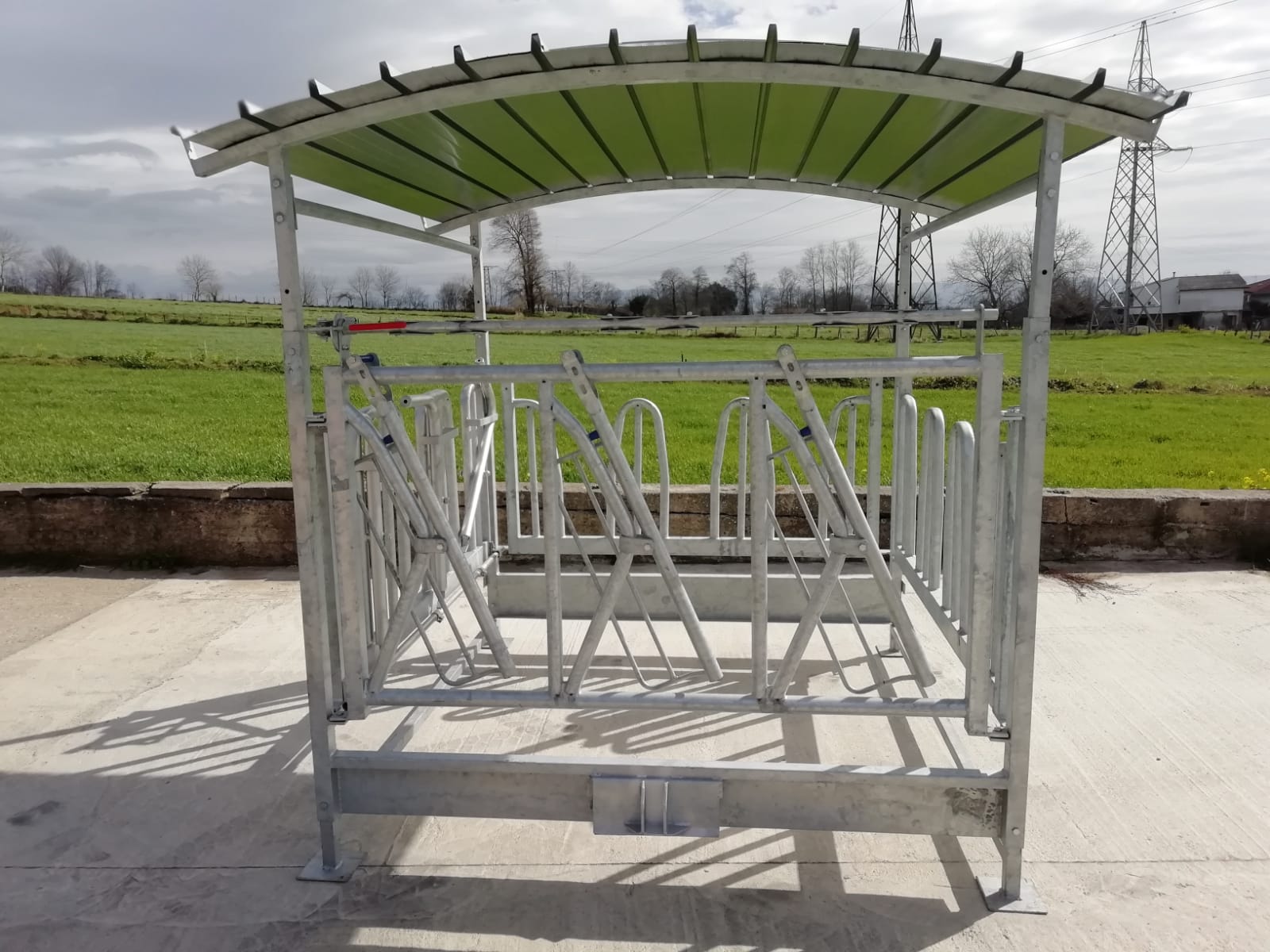 Portaballone per bovini, bufalini con piedi regolabili, con pannello di autocattura, zincato a caldo