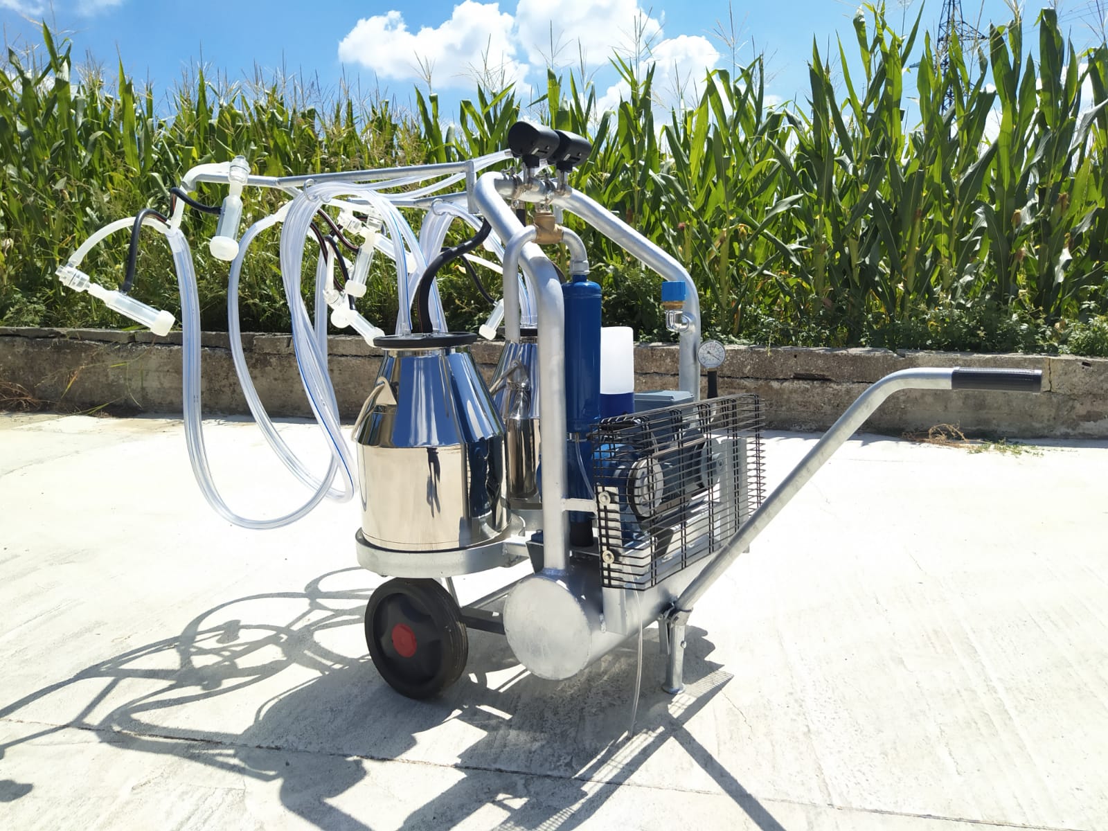 Mungitrice a carrello pesante zincato, pompa per vuoto mod. CPV da 350 a olio a 50 kpa, motore elettrico 220V HP1,5. Due secchi da 25 litri in acciaio inox, 4 gruppi mung. collettori automatici 2 pulsatori 50/50, completa.