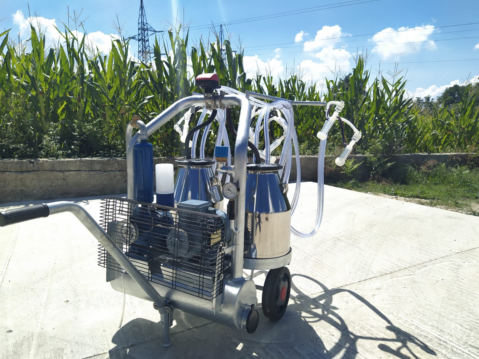 Mungitrice a carrello pesante zincato, pompa per vuoto mod. CPV da 350 a olio a 50 kpa, motore elettrico 220V HP1,5. Due secchi da 25 litri in acciaio inox, 4 gruppi mung. collettori automatici 1 pulsatore 4 vie 50/50, completa.