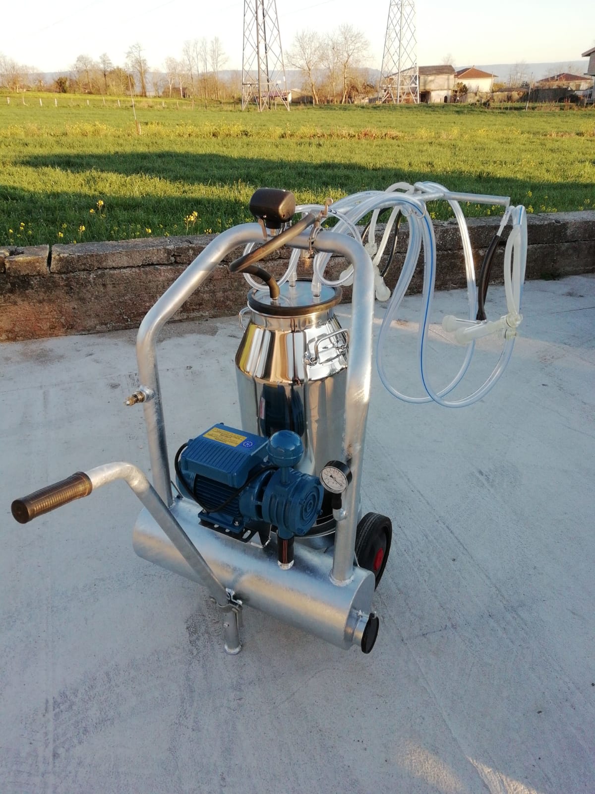 Mungitrice a carrello zincato, pompa per vuoto mod. PT1 da 200 litri a 50 kpa, motore elettrico 220V HP1. Secchio da 50 litri litri in acciaio inox, 2 gruppi mung. collettori automatici 1 pulsatore 50/50, completa.
