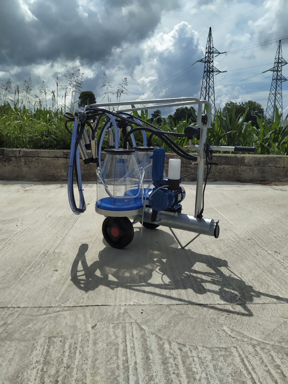 Mungitrice a carrello zincato, pompa per vuoto mod. PT2 da 250 litri a olio a 50 kpa, motore elettrico 220V HP1. Secchio 25 litri in macrol numerato, 2 gruppi mung. 150cc 2 pulsatori 60/40, completa.