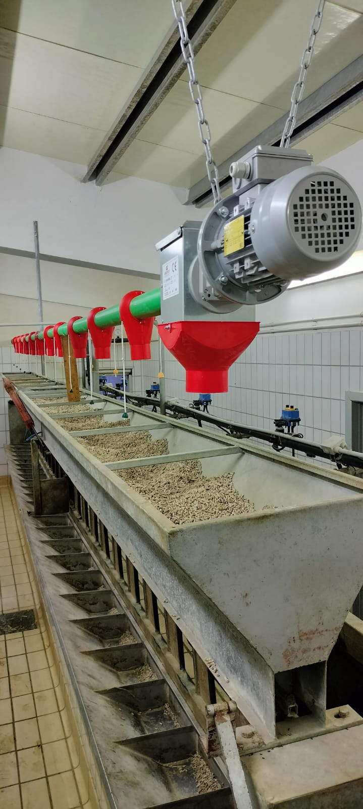 Silos porta-mangime con coclea flessibile