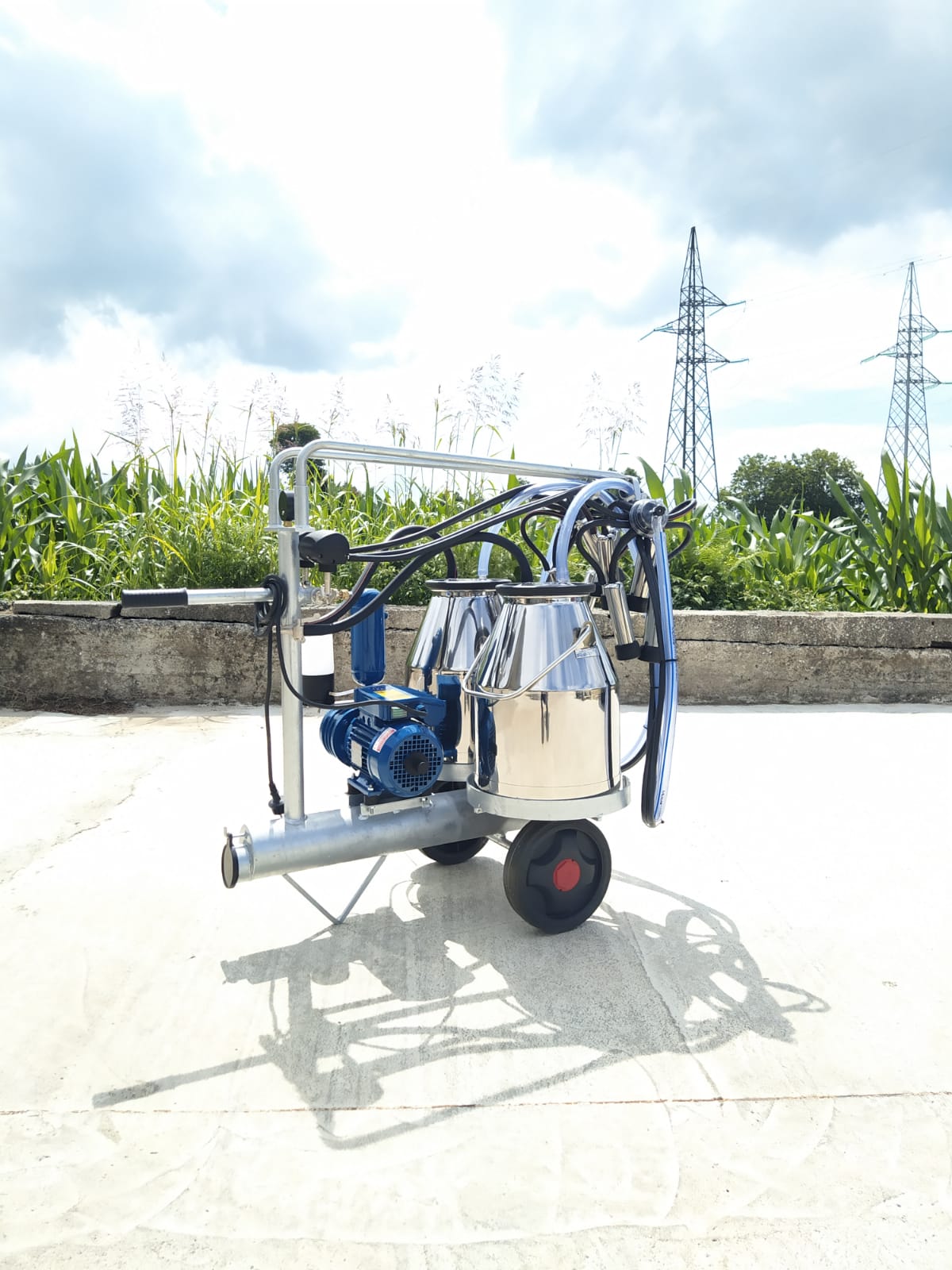 Mungitrice a carrello zincato, pompa per vuoto mod. PT2 da 250 litri a olio a 50 kpa, motore elettrico 220V HP1. Secchio 25 litri in acciaio inox, 2 gruppi mung. 150cc 1 pulsatori, completa.