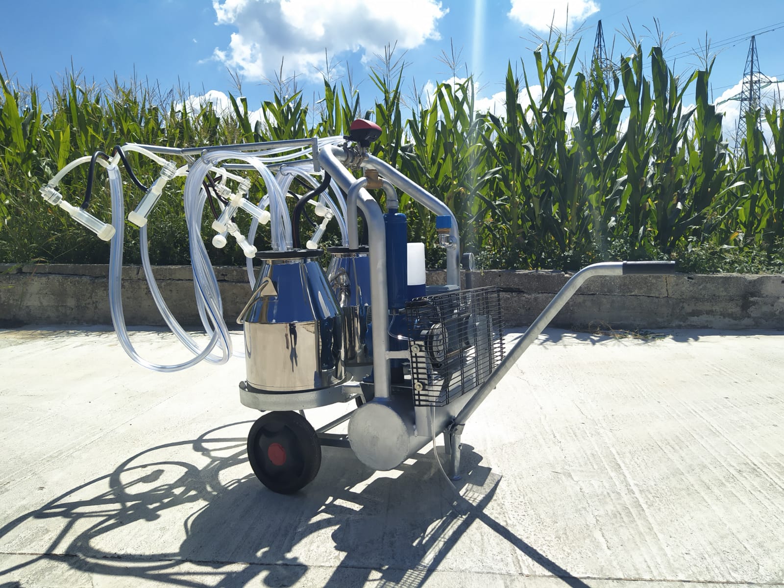 Mungitrice a carrello pesante zincato, pompa per vuoto mod. CPV da 350 a olio a 50 kpa, motore elettrico 220V HP1,5. Due secchi da 25 litri in acciaio inox, 4 gruppi mung. collettori automatici 1 pulsatore 4 vie 50/50, completa.