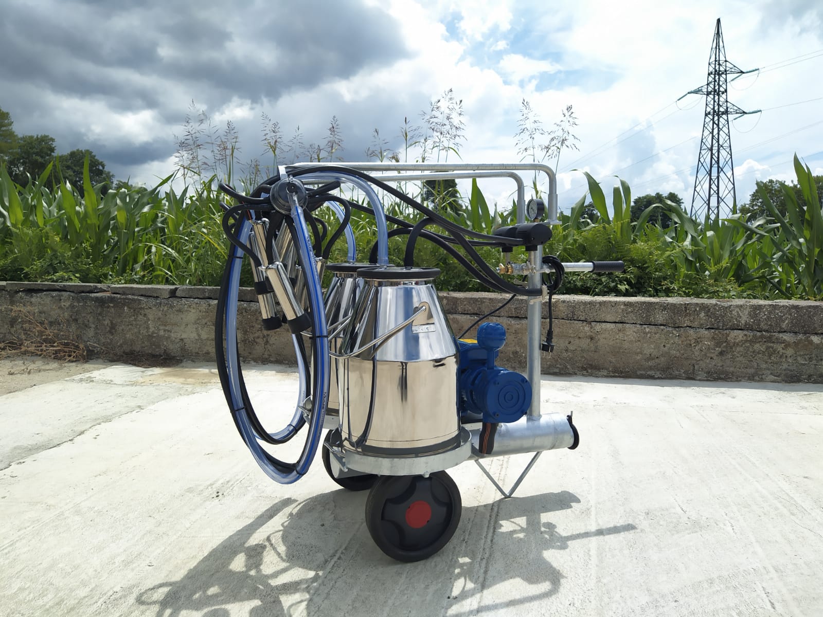 Mungitrice a carrello zincato, pompa per vuoto mod. PT1 da 200 litri a 50 kpa, motore elettrico 220V HP1. Secchio 25 litri in acciaio inox, 2 gruppi mung. 150cc 2 pulsatori 60/40, completa.