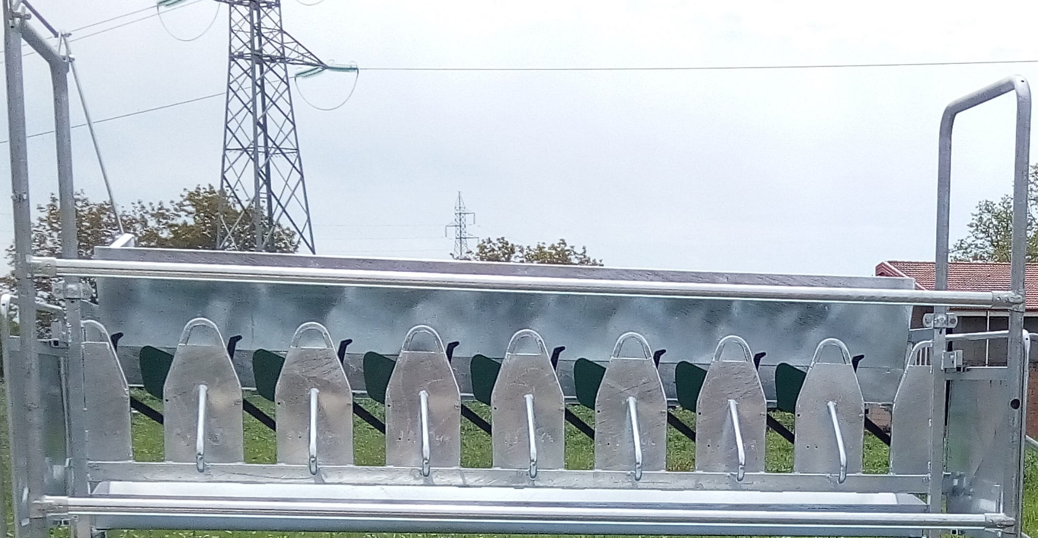 Stallo autocatturante sequenziale  da otto poste su banchetto, cancello entrata e uscita manuale, mangiatoia in acciaio zincato, dosatore completo di ancoraggi e bulloni (senza compressore), kit martinetto pneumatico, da tassellare
