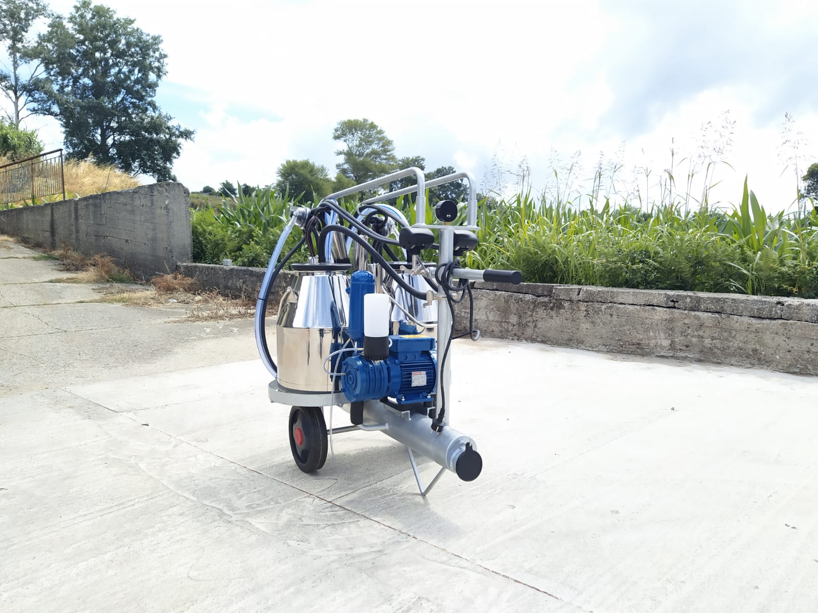 Mungitrice a carrello zincato, pompa per vuoto mod. PT2 da 250 litri a olio a 50 kpa, motore elettrico 220V HP1. Secchio 25 litri in acciaio inox, 2 gruppi 150cc mung. 2 pulsatori 60/40, completa.