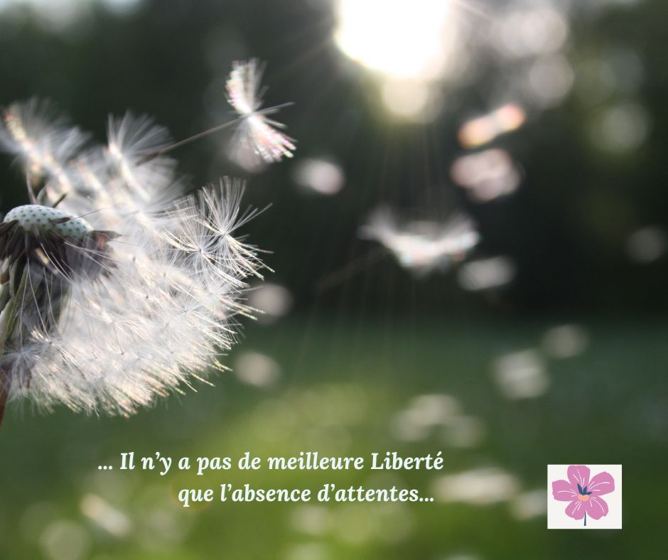 Reprise de nuances entre détachement et lâcher prise