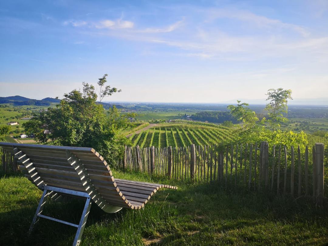Vogesenblick in Bischoffingen (Foto:privat)