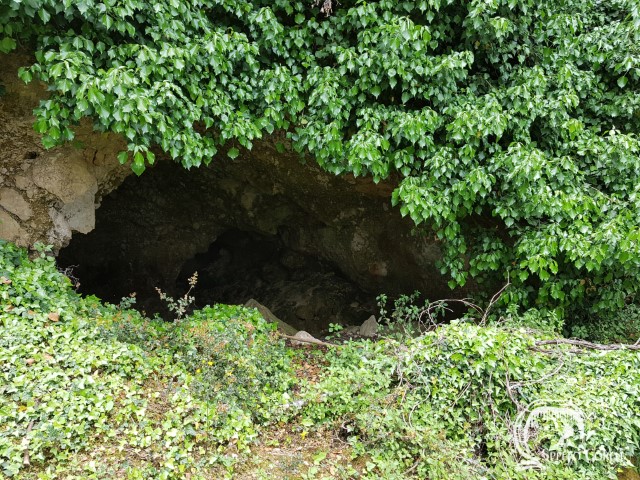 Image result for cave overgrown