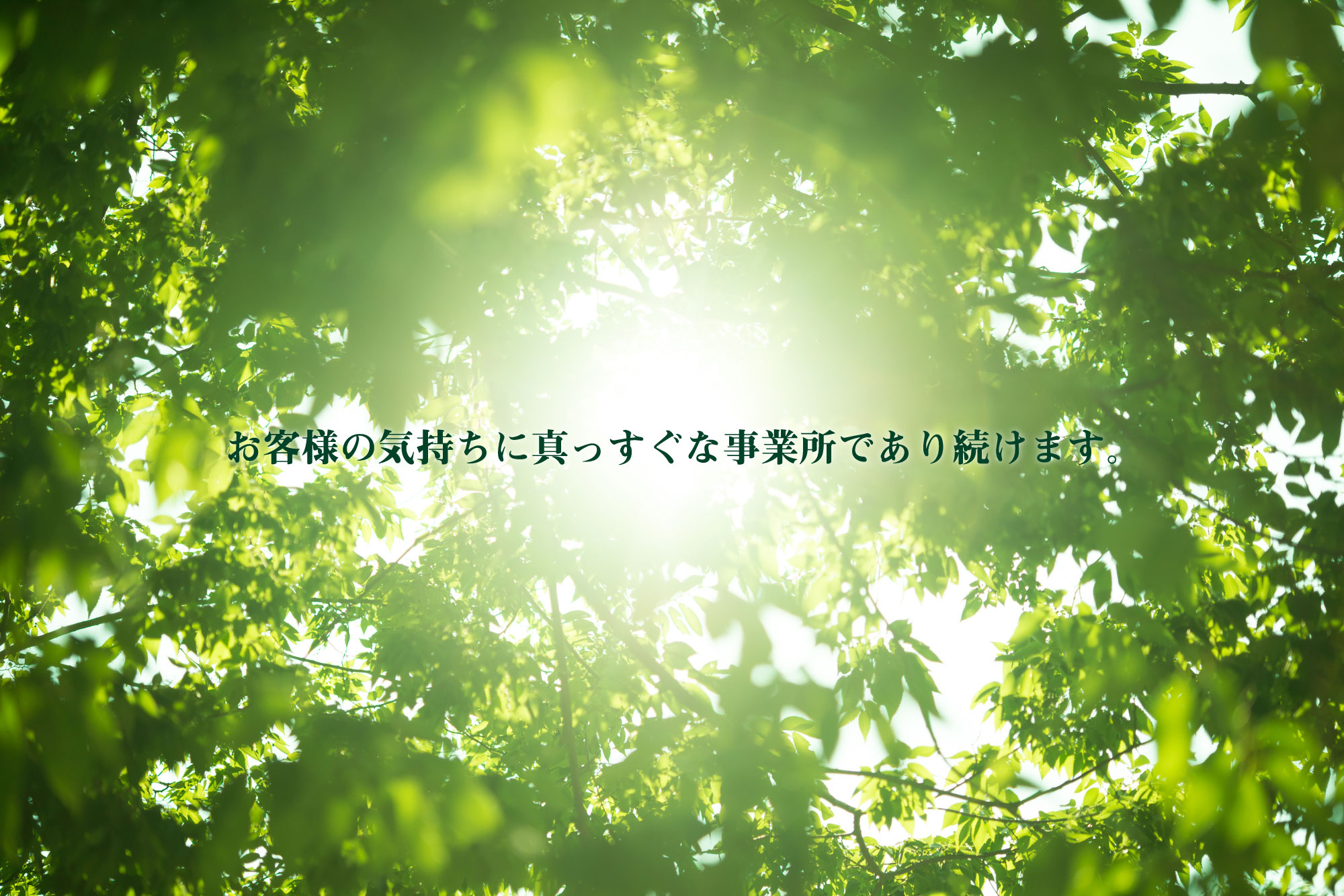 有限会社しんあいケアセンター